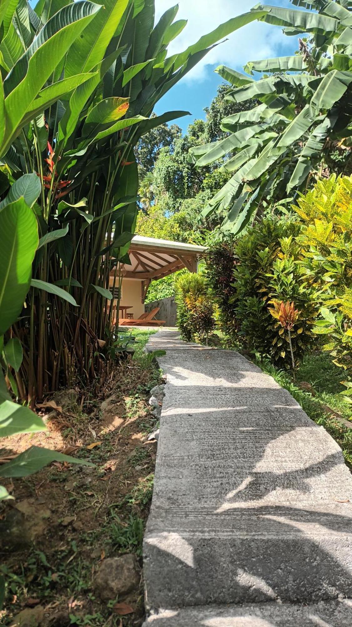 Martinique La Petite Maison Dans La Colline Le Lamentin Exterior foto
